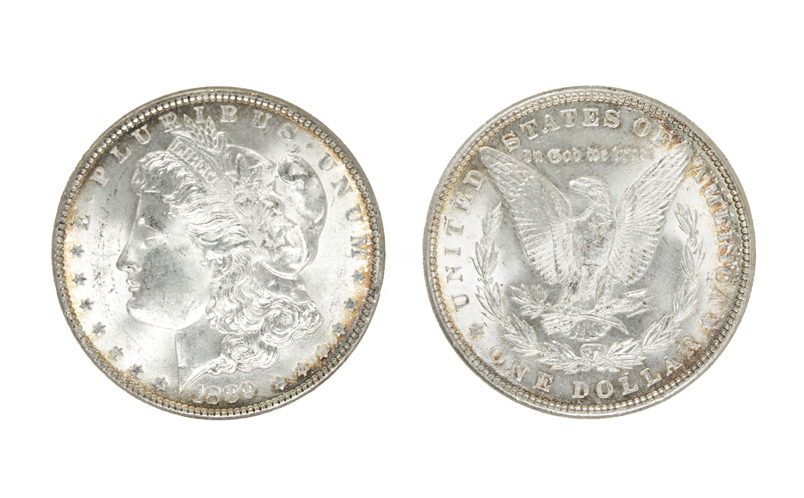 HALFS QUARTERS DIMES &MORE READ 8oz Old Silver Coins Pre-1964 w/1 MORGAN DOLLAR 